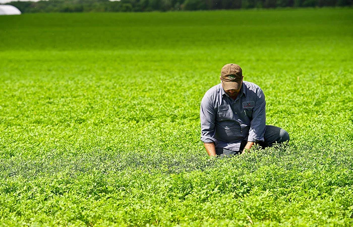050119_sustainability awards_field_700x450