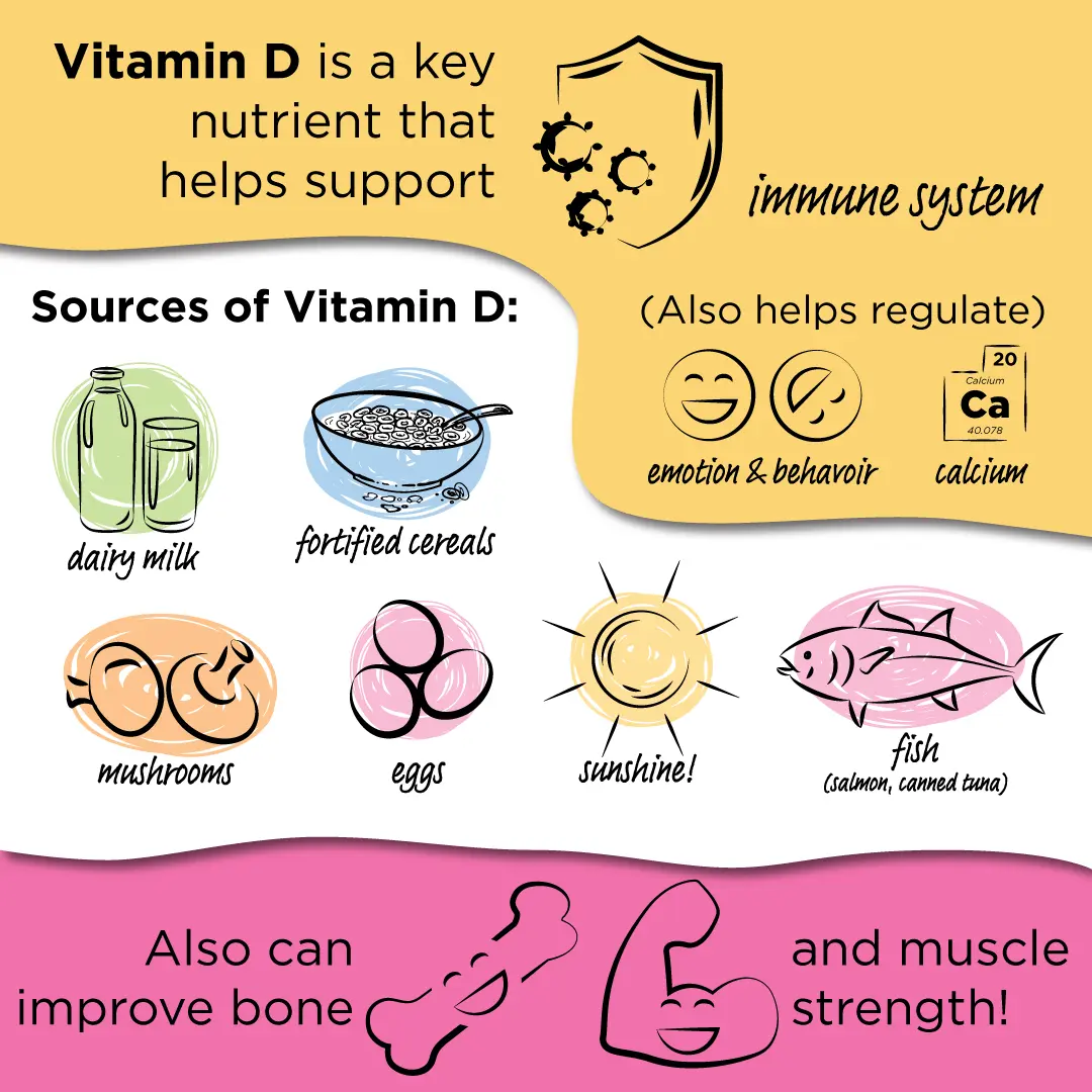 An infographic providing information on the best sources of vitamin D and their benefits