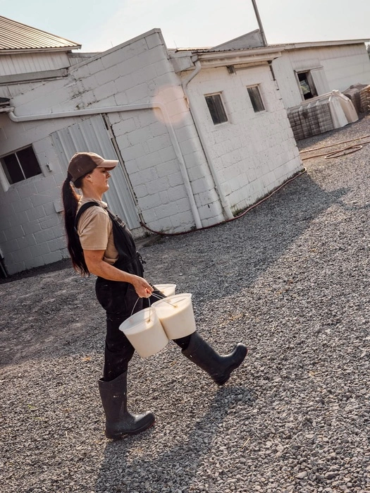Dairy farmer carrying two buckets across the farmyard