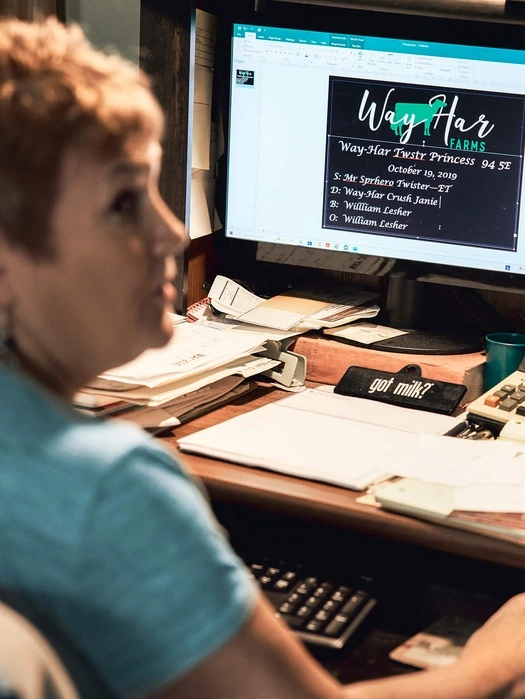 Dairy farmer reviewing herd information on a computer